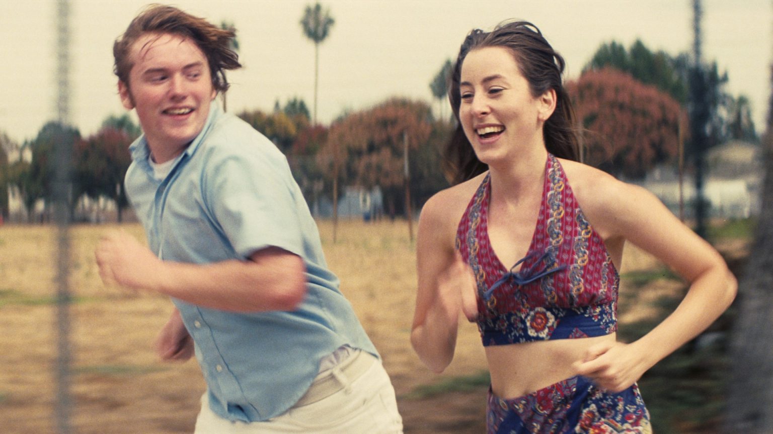 Licorice Pizza Das Kulturblog